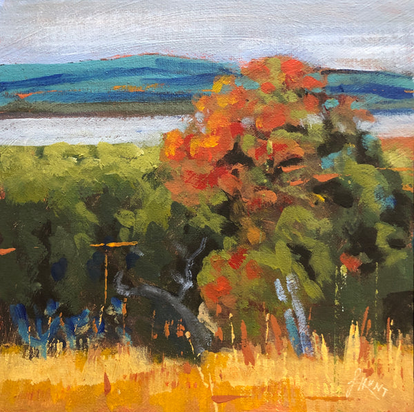 Turning Color