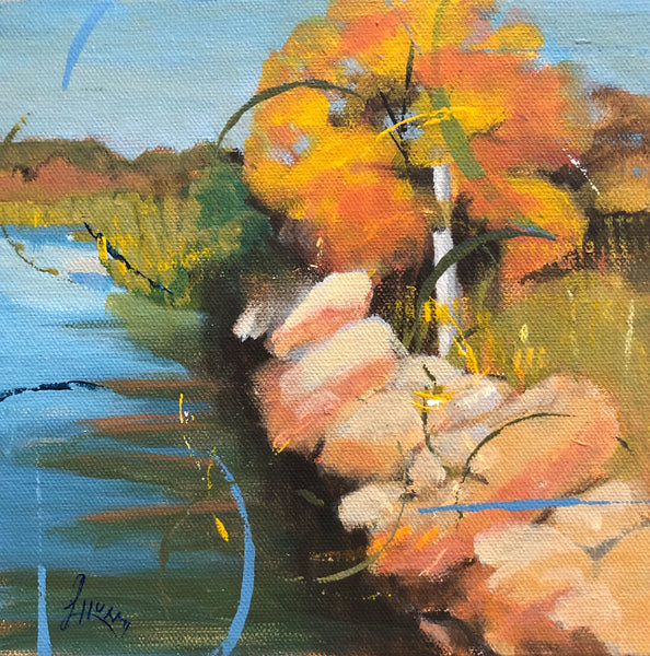 Rocky Shore (Mineral Wells)