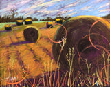 December Hay Field