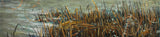 Wetland