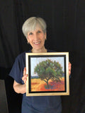 Alligator Juniper